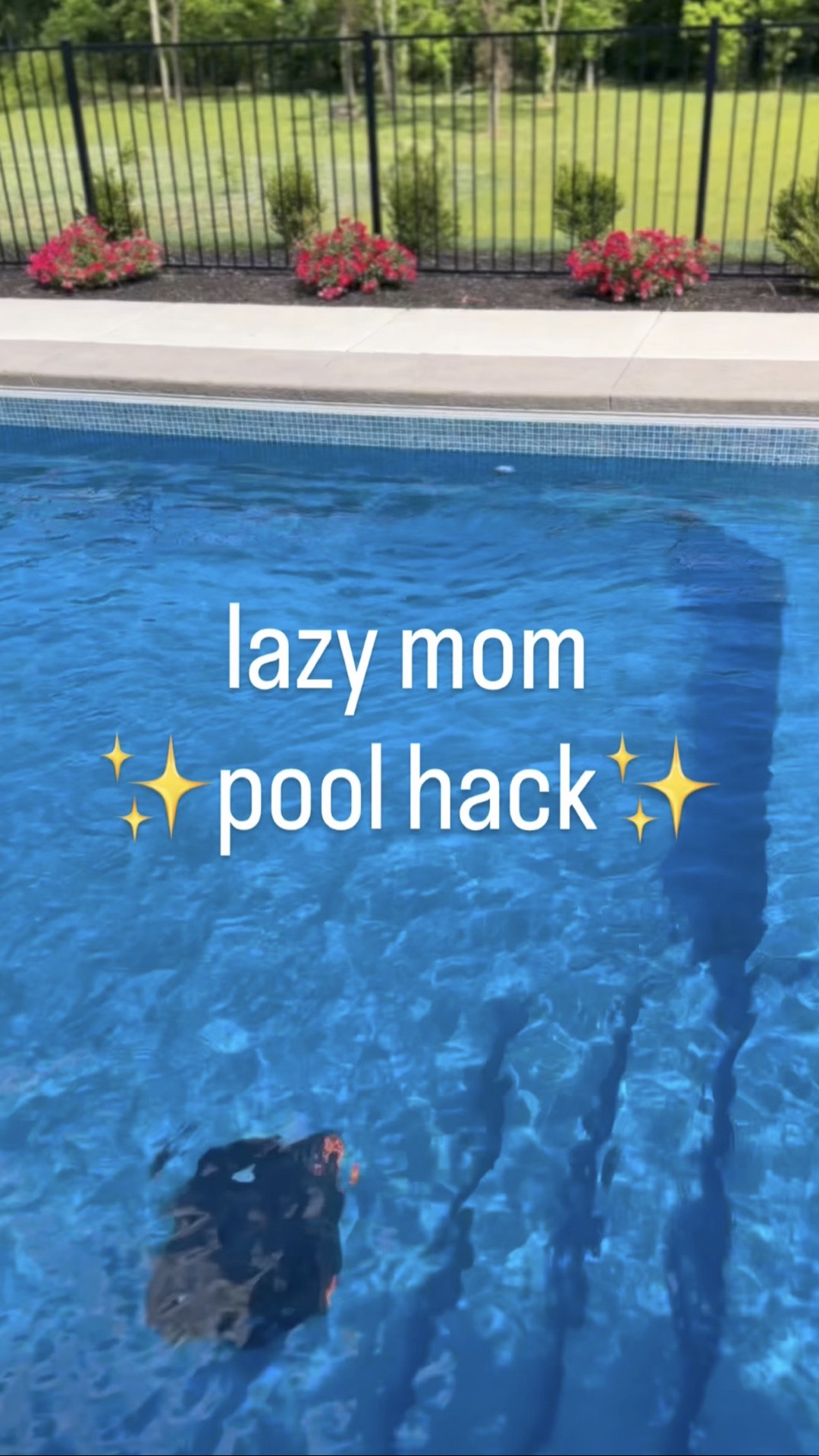 My favorite lazy mom hack of the summer!☀️#ad Check out the Garden Robotic Pool Cleaner on Amazon AND you can use my code EJ3DCB9U for 10% off!

Full coverage, amazing battery dife, with an app for hands-free control! You'll be pool ready all summer long!

#iGarden #iGardenpoolvacuum #iGardenKseries #summermusthave pooltime