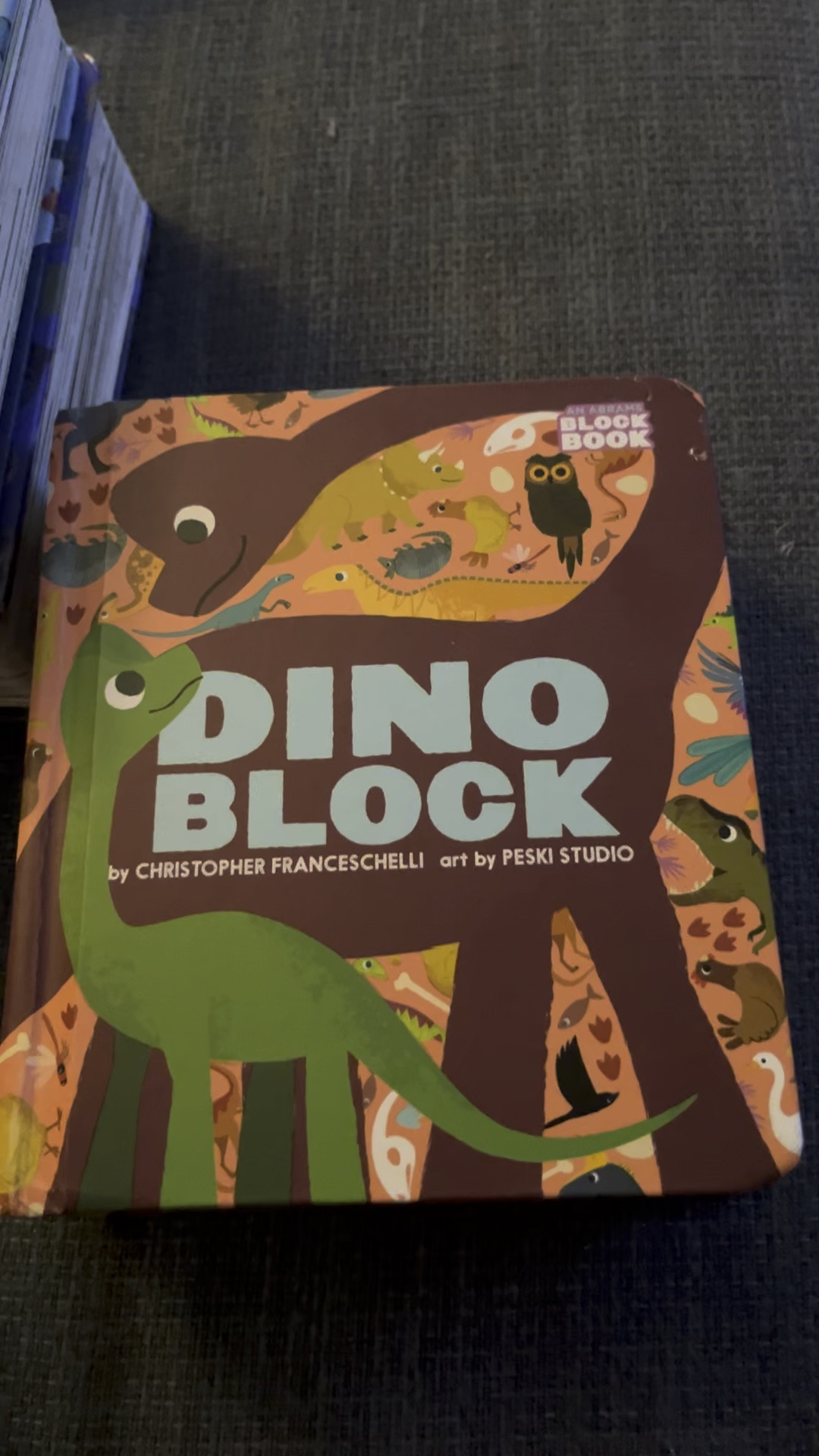 These Block Books are a favorite in our home for our bedtime story time. 

#LTKKids #LTKBacktoSchool #LTKVideo