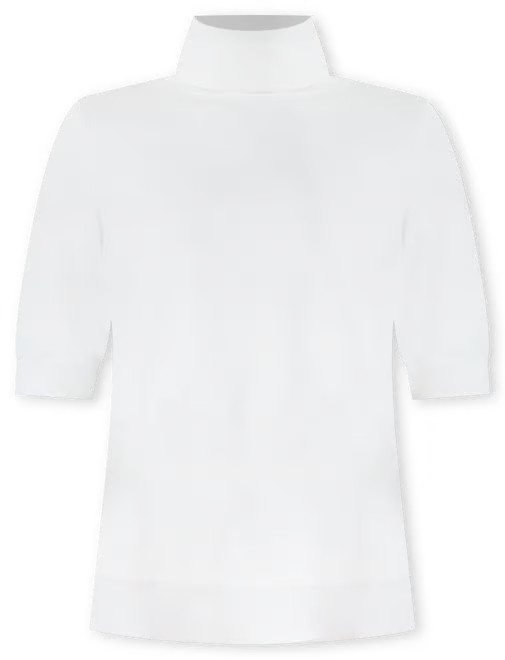 Turtleneck Elbow Sleeve Sweater Tee | Ann Taylor (US)