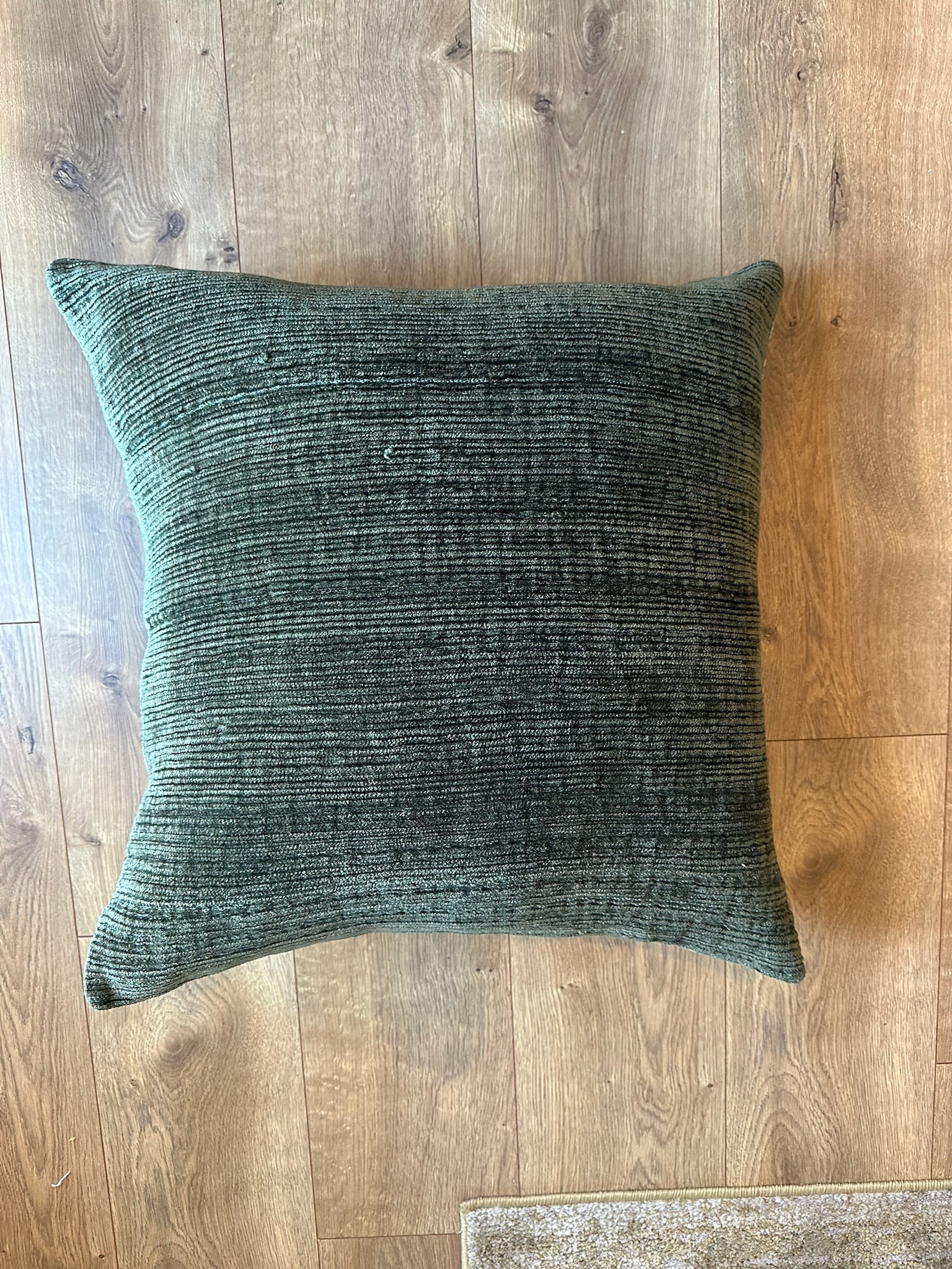 Gorgeous pillow from Pottery Barn // comes in multiple colors & $89!


seasonal home decor, pottery barn pillows, pottery barn home decor, potter barn finds, pottery barn fall finds, pillow cover, textured pillow cover 

#LTKHome #LTKSeasonal #LTKFindsUnder100
