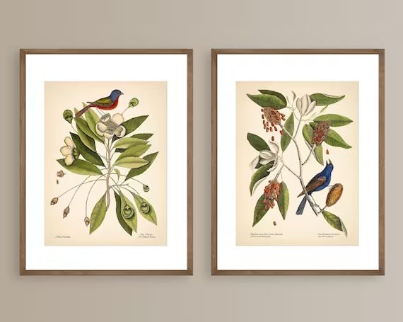 8x10'' BLUEBIRDS PRINTS Set of 2 bird prints flower nature wall art botanical prints vintage prin... | Etsy (US)