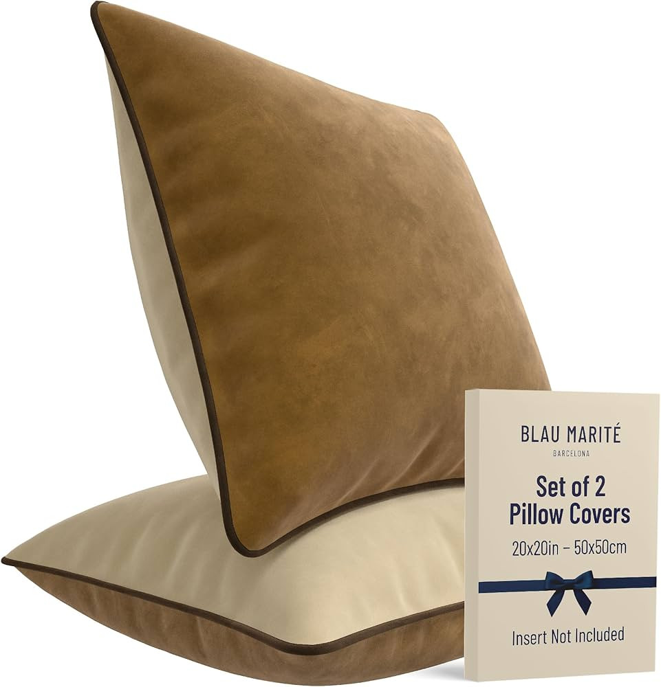 Set of 2 Decorative Throw Pillow Covers Cushion Cases. Soft Velvet. Contrast Pipping Edge. Fillin... | Amazon (US)