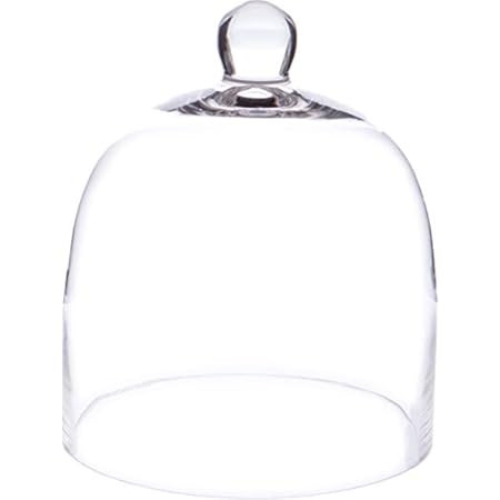 RenRenLe 8.5X4.7 Inches Cloche Glass Dome Glass Cloche Bell Jar Bell Dome Glass Display Cover for De | Amazon (US)