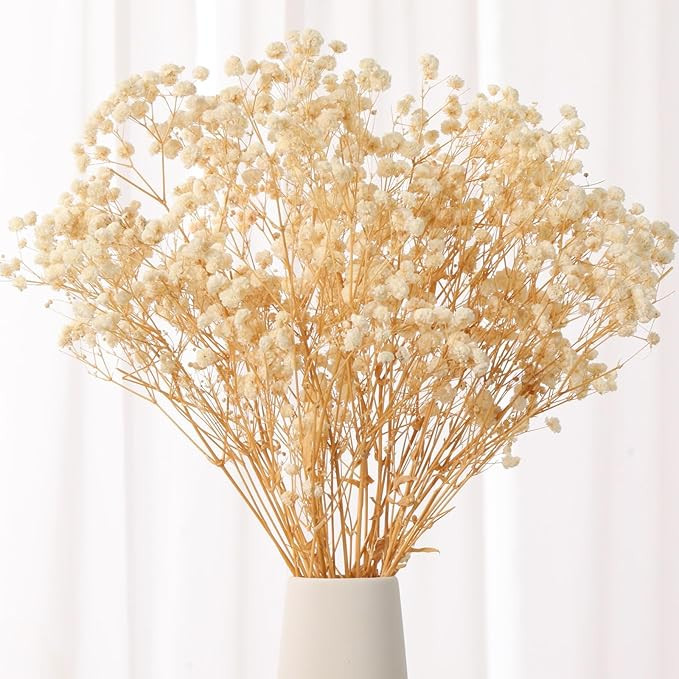 Babys Breath Dried Flowers Bouquet-17'' 2000+ Dry Flowers, Natural Gypsophila Branches for Weddin... | Amazon (US)