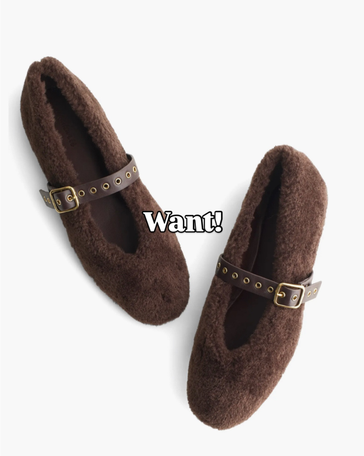 Cozy gifts 
Gift guide 

#LTKFindsUnder100 #LTKFindsUnder50 #LTKGiftGuide