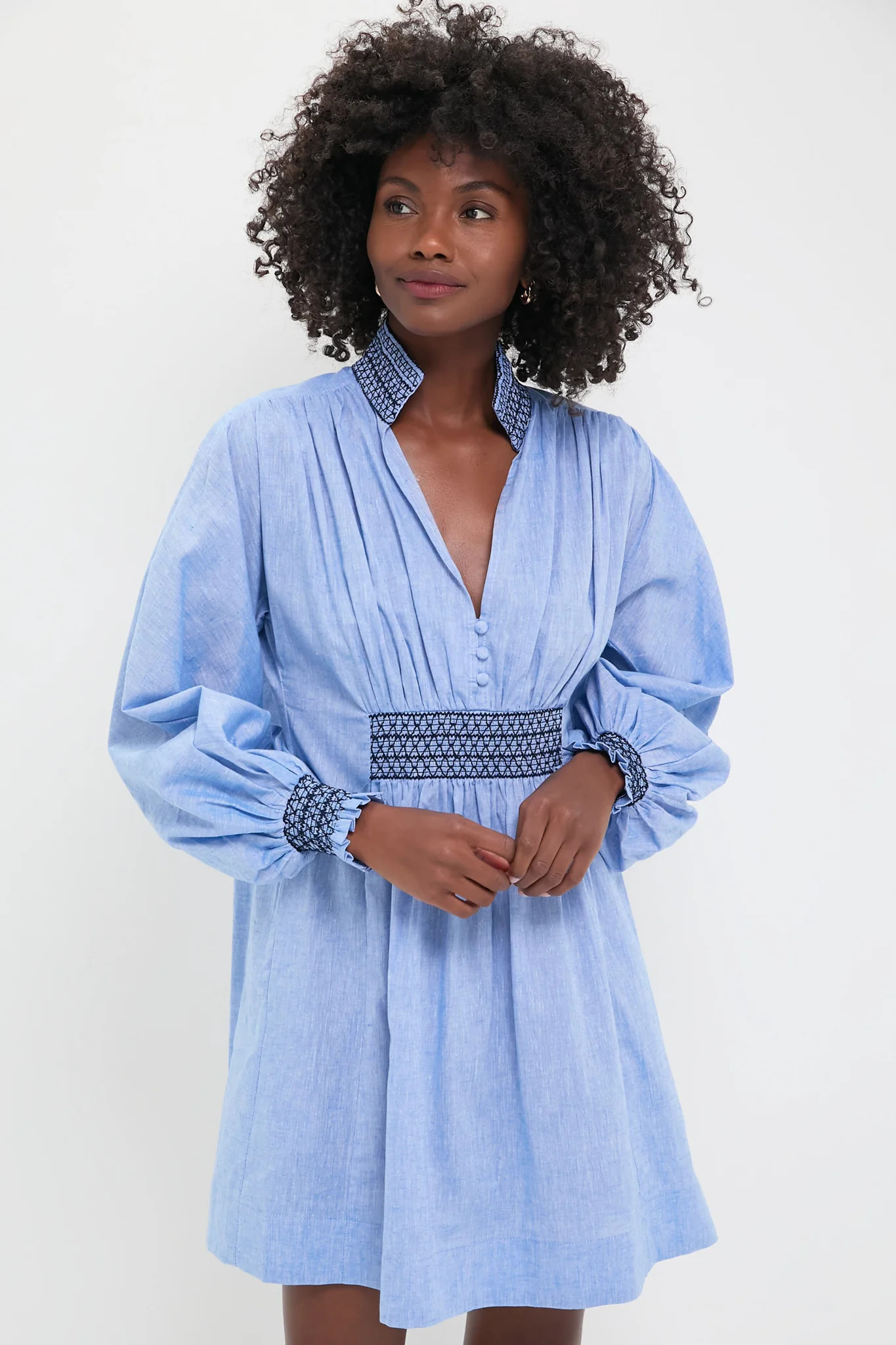 Chambray Embroidered Aubury Dress | Tuckernuck (US)