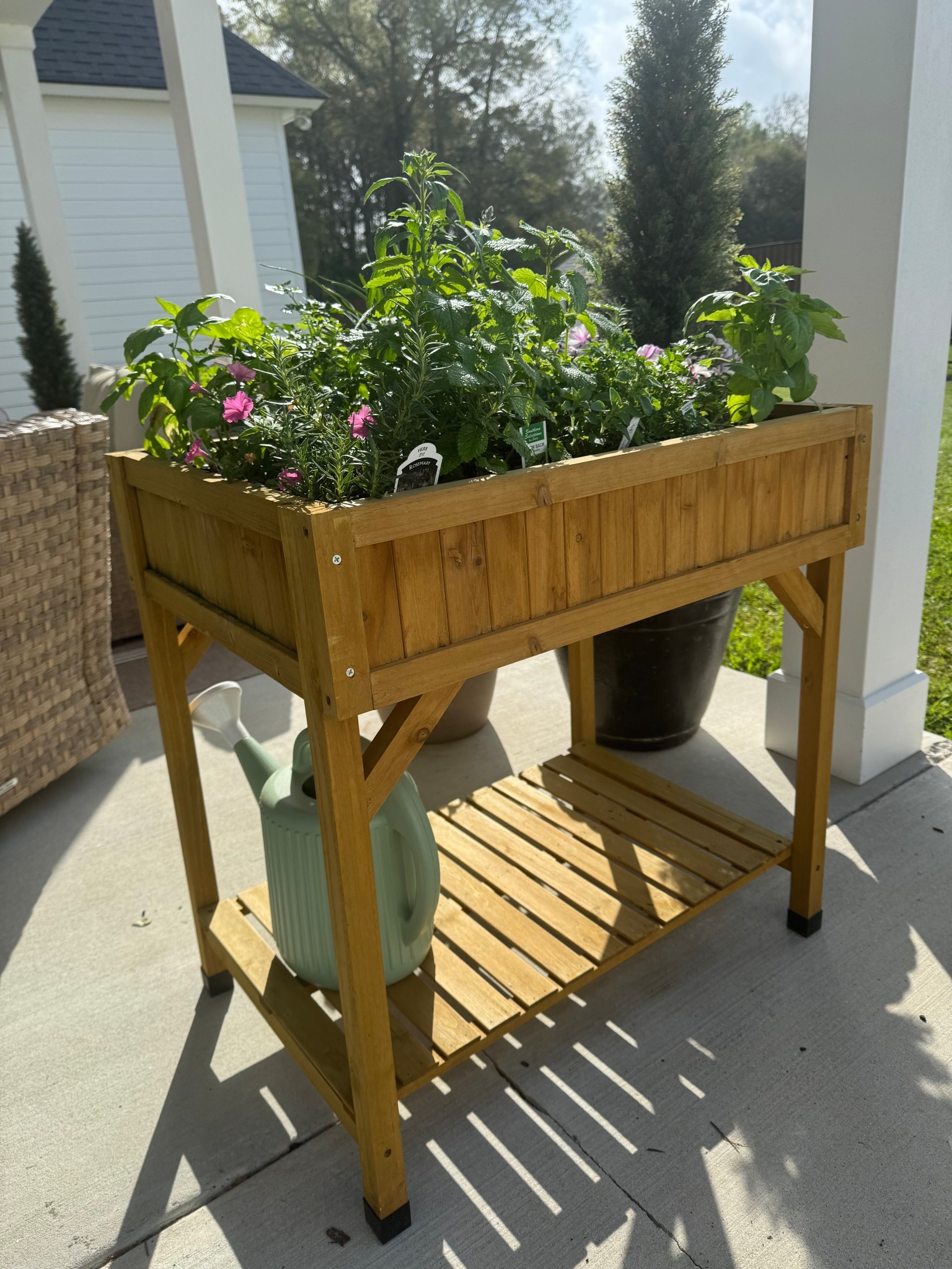 Planting herbs and flowers in our raised planter box has been a hobby for me and my daughter! Here is the raised garden bed! 