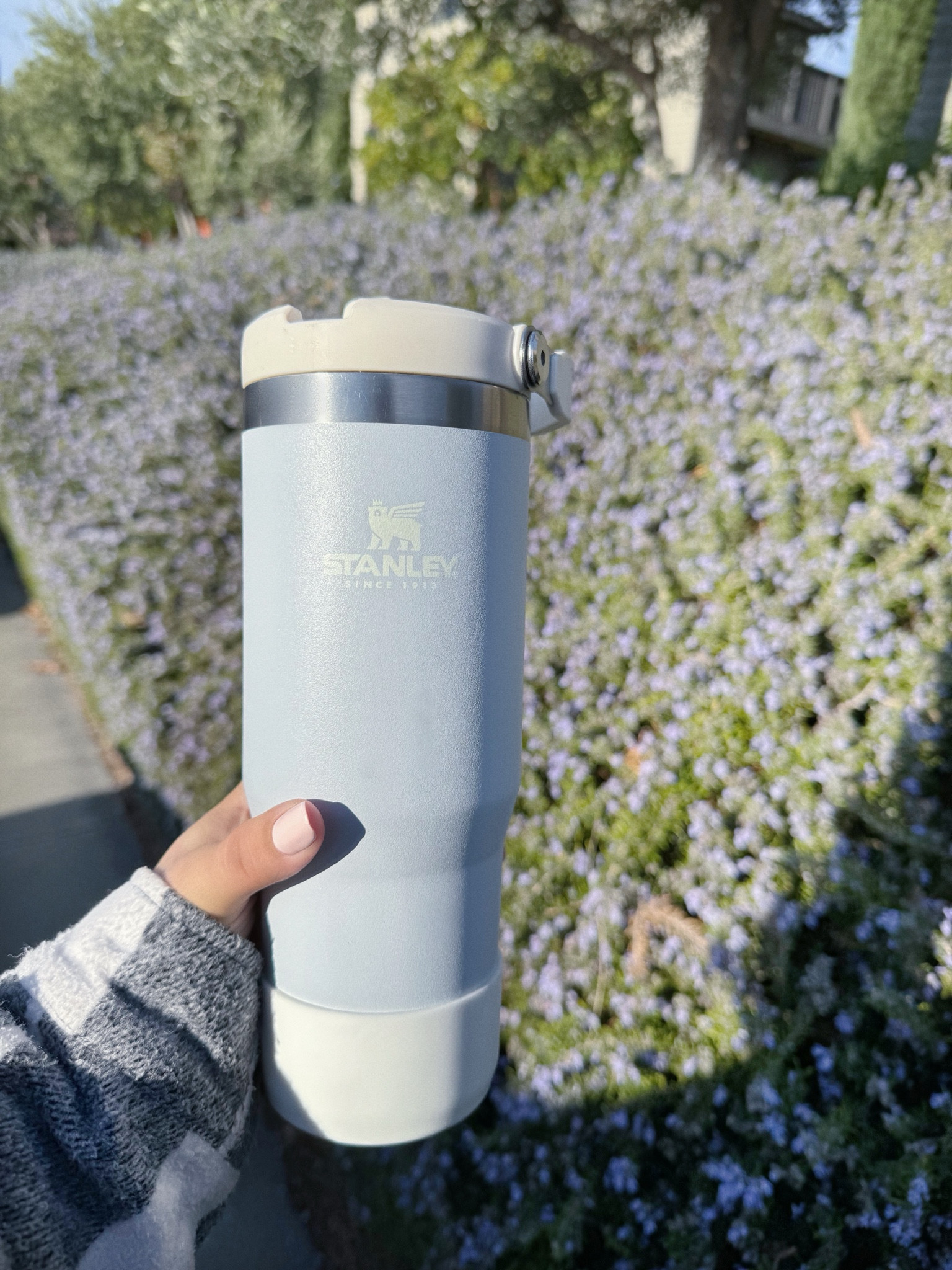 Stanley Cups

#LTKfitnessgoals #LTKHome #LTKTravel