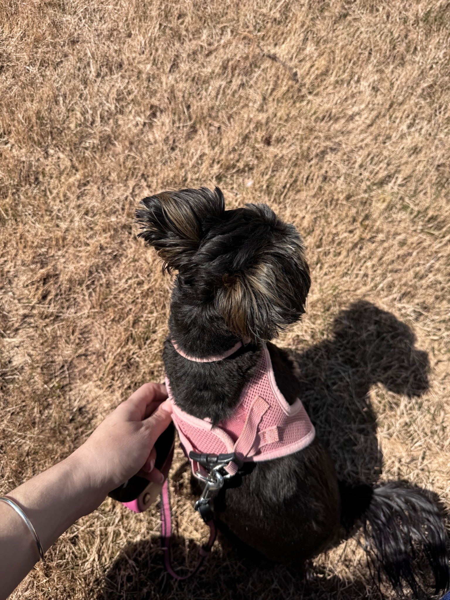 Sweet lily baby🥰

#LTKdayinmylife