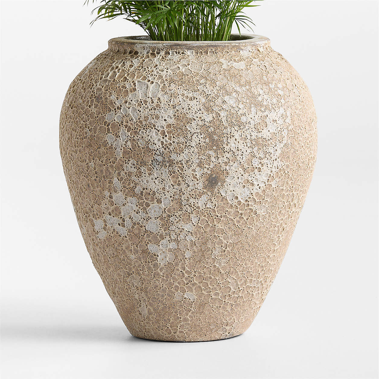 Pompeii 20.87" x 17.52" Indoor/Outdoor Ceramic Planter + Reviews | Crate & Barrel | Crate & Barrel