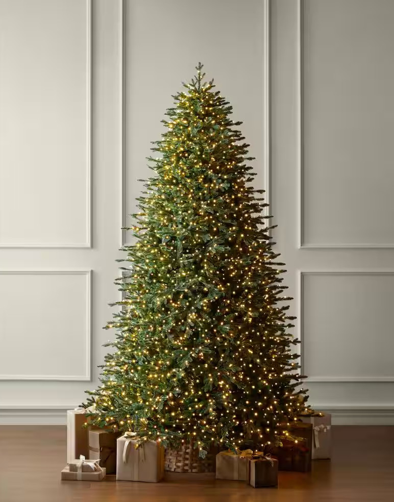 Run, do not walk! This tree sells out every single year! It's SO good!  

 #LTKdayinmylife #LTKSaleAlert