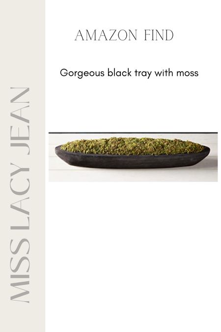 Amazon home find
Black tray with moss
Shelf styling 
Centerpiece 
Home decor 

#LTKhome #LTKFind #LTKstyletip