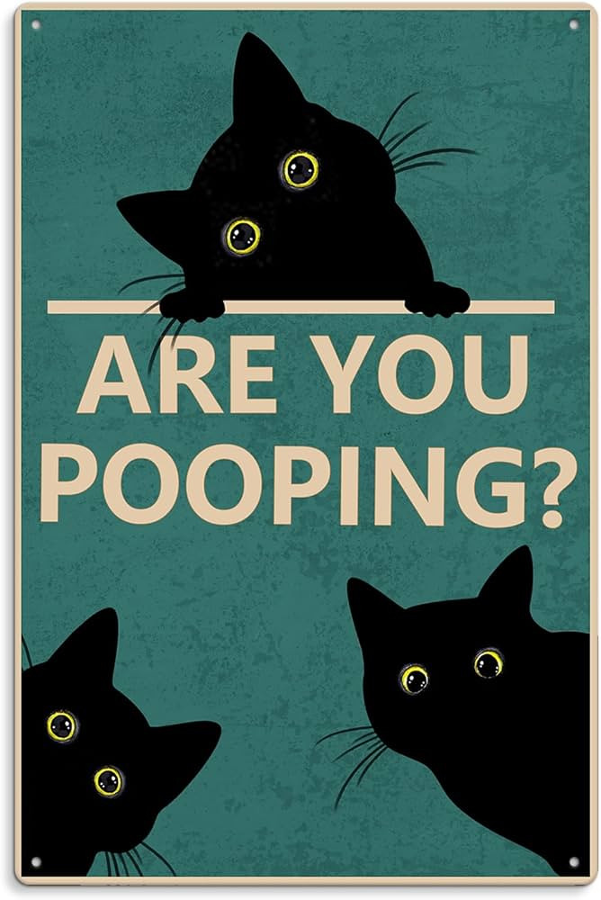Black Cat Are You Pooping Funny Tin Signs Bathroom Wall Decor Vintage Wall Art Decoration Living ... | Amazon (US)