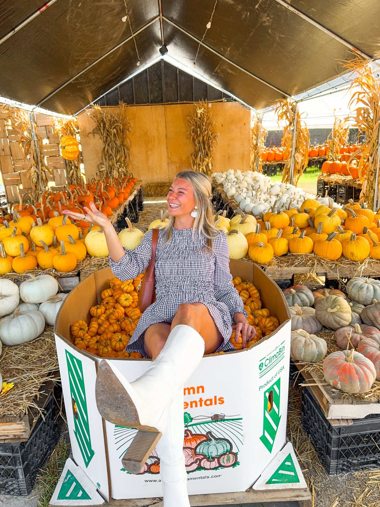 Fun at the Fall Pumpkin Patch!!! Wearing this cute dress from CUPSHE! Code GRACIE still works! 

#LTKSeasonal #LTKHalloween #LTKFindsUnder50