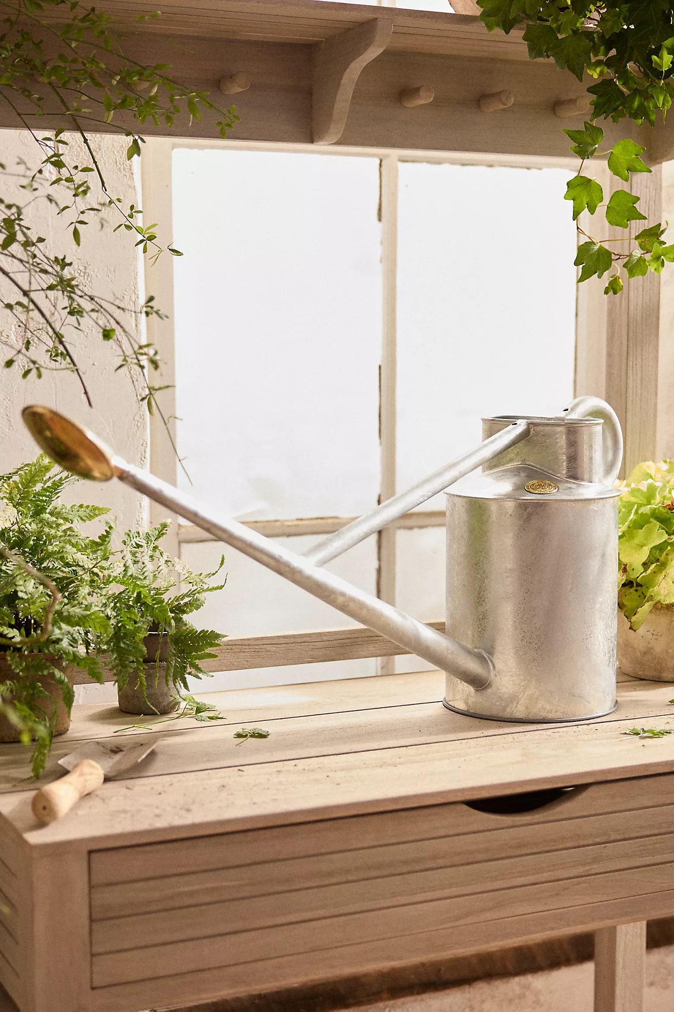Haws Galvanized Watering Can | Anthropologie (US)