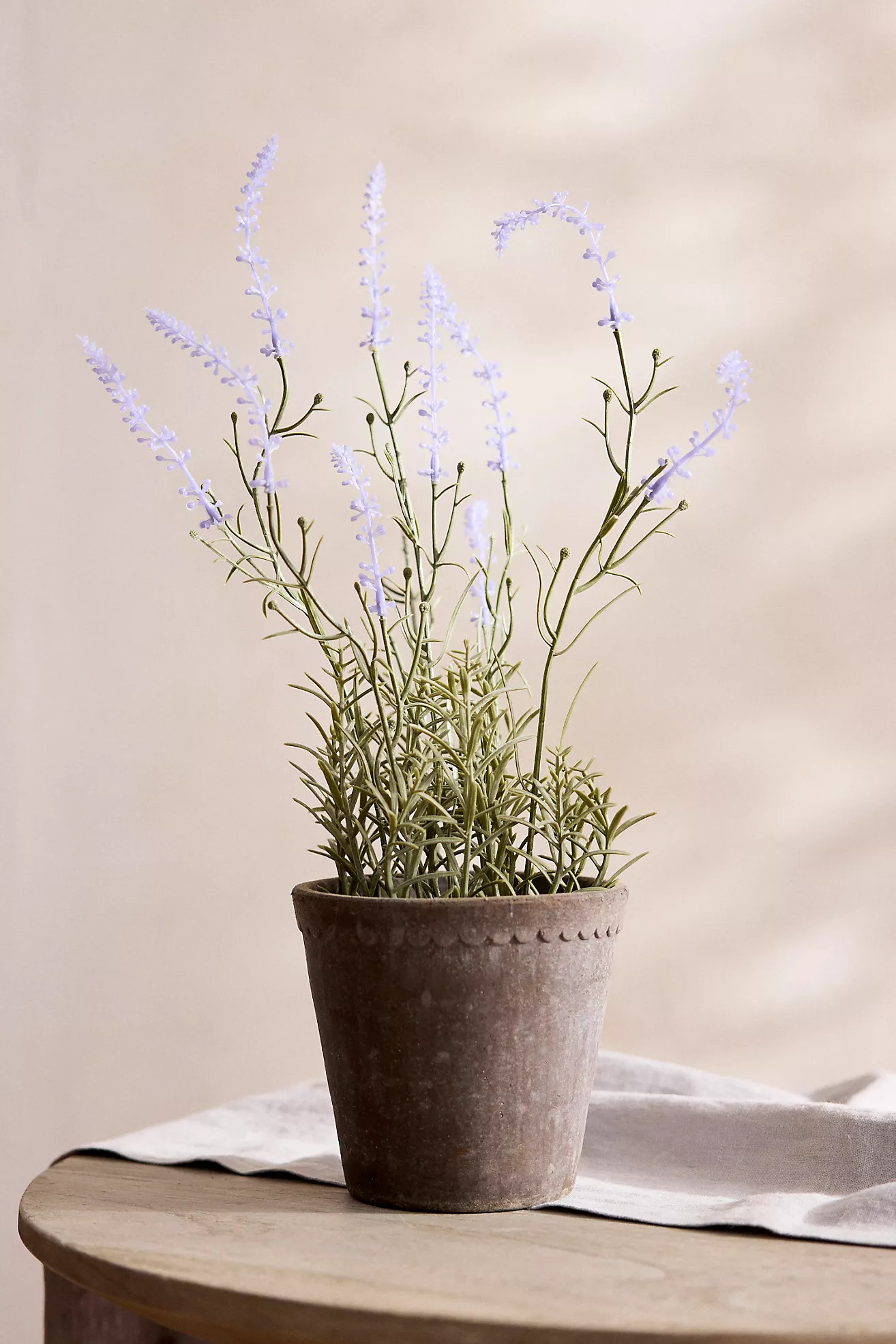 Faux Lavender Plant | Terrain