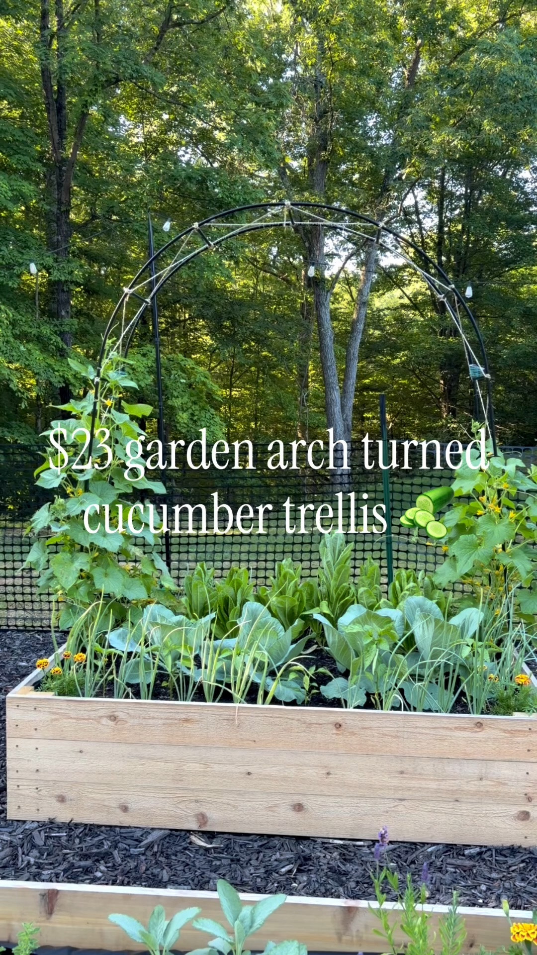 🌿 Budget-Friendly Garden Find

I turned this $23 garden arch into a cucumber trellis and added twine for extra climbing support. The vines are taking off, and my first cucumber of the season is already growing! 🥒

This simple setup helps maximize garden space, improves airflow, and keeps cucumbers off the ground.

Shop the arch and my garden favorites below

#LTKdayinmylife #LTKHome #LTKSeasonal