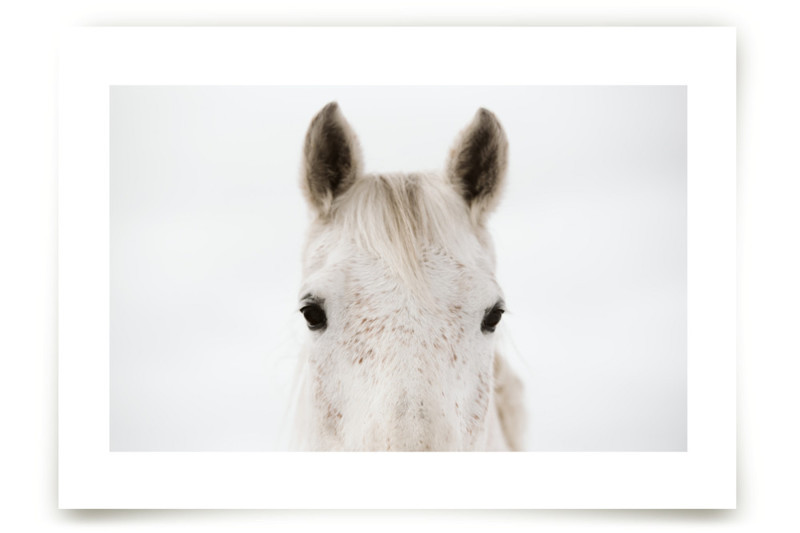 "Pollock" - Open Edition Children's Art Print by Amy Carroll. | Minted