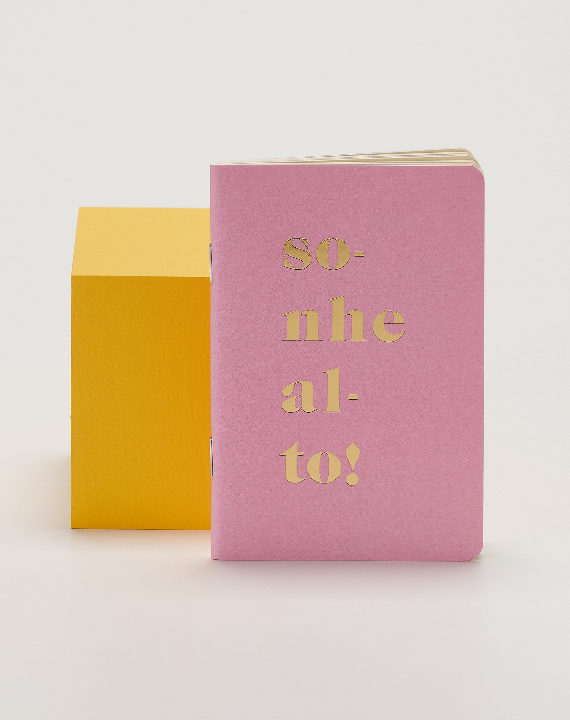 CADERNO FLEXÍVEL SEM PAUTA | Amaro (BR)