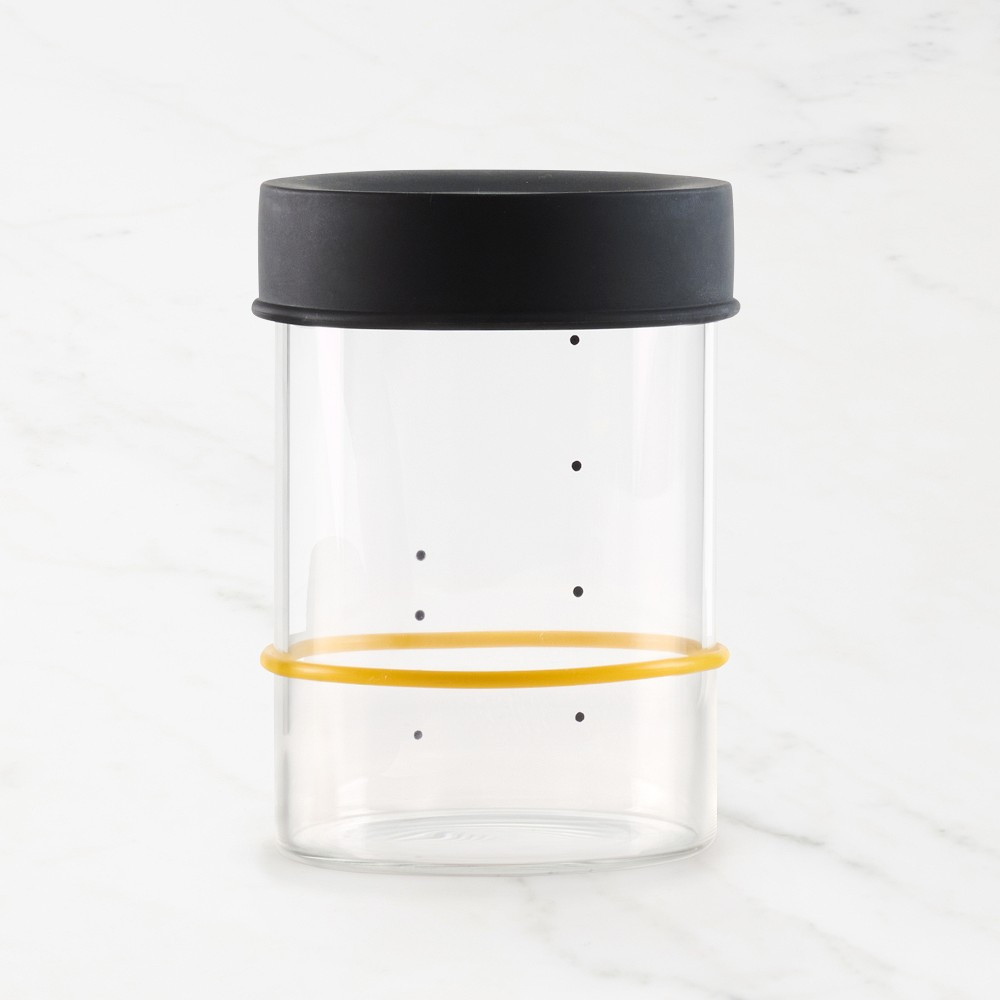 Sourhouse™ Starter Jar | Williams-Sonoma