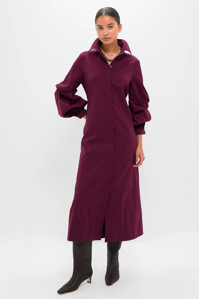 Dark Winetasting Alessia Maxi Dress | Tuckernuck (US)