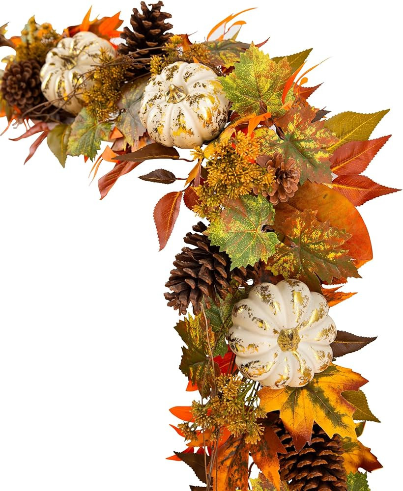 Balsam Hill10ft Fall Medley Artificial Garland | Amazon (US)