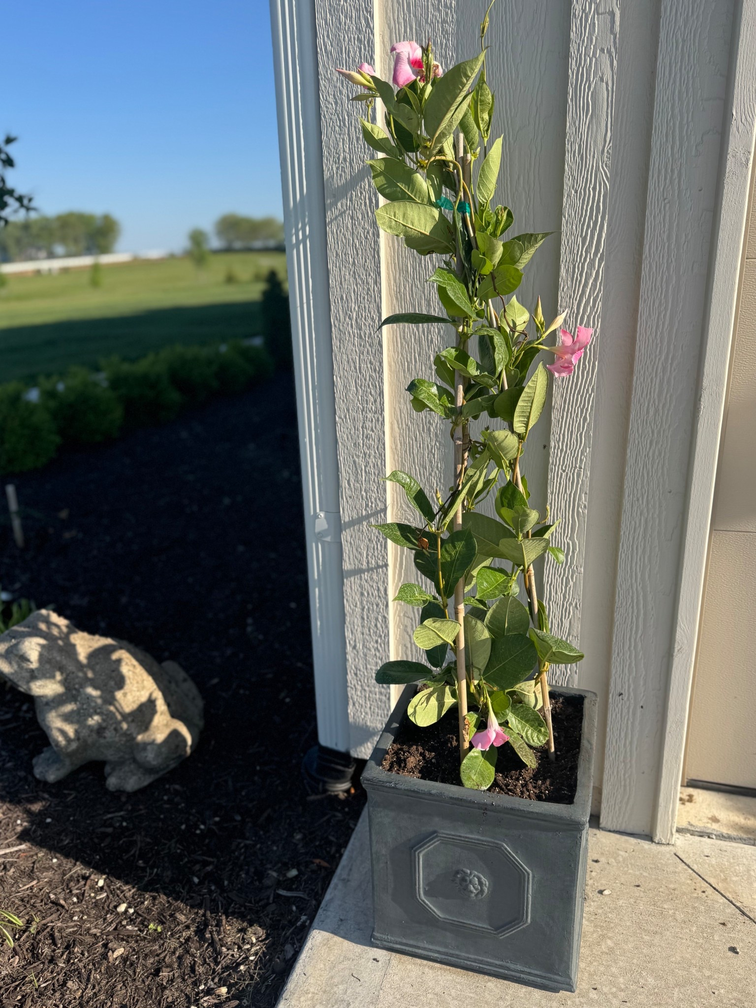 The best little planters! Love how they look by my garage. And they fit my 10” Costco Mandevilla Trellises perfectly! Under $80 per planter + $30 for each mandevilla trellis = not too shabby! 

PS - these planters come in multiple sizes and colors! 



#LTKHome #LTKFindsUnder100 #LTKSeasonal