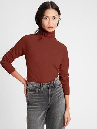 Merino Turtleneck Sweater in Responsible Wool | Banana Republic (US)