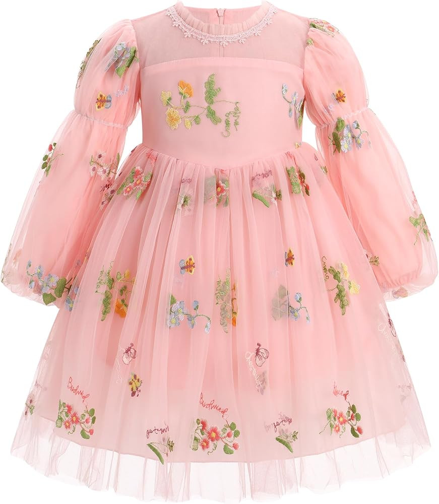 Long Sleeve Baby Flower Girl Wedding Dress Princess Sheer Neck Floral Tulle Toddler Birthday Form... | Amazon (US)
