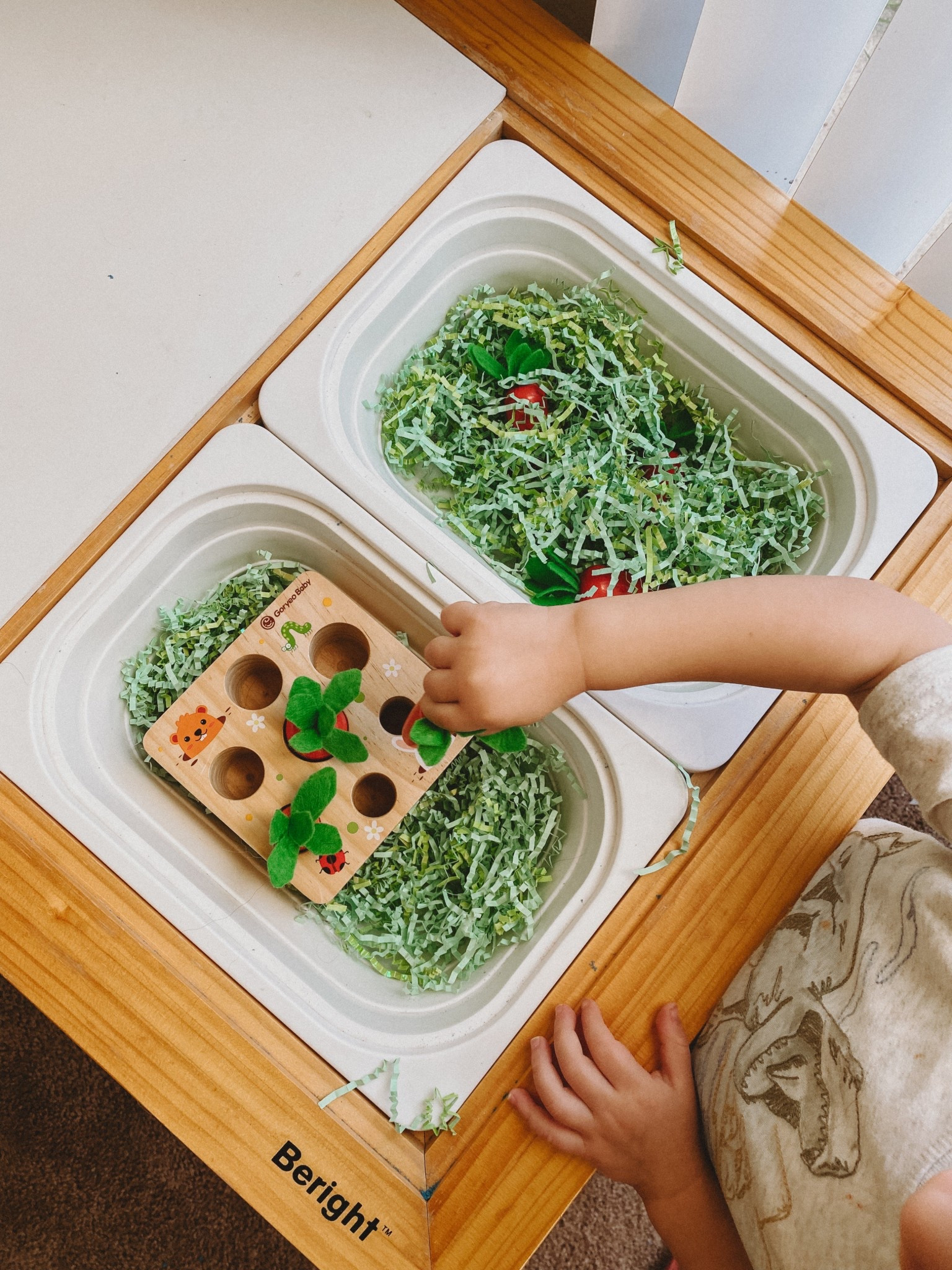 Easter activity table! Easter toy, Montessori toy, matching toy, Easter basket

#LTKKids #LTKFamily #LTKSeasonal