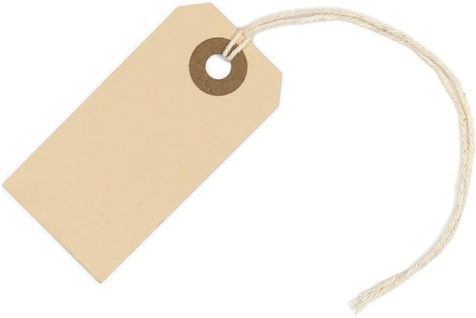 100 Small Manila Paper Tags with String - #1, 2 3/4” x 1 3/8” - Hang Shipping Labels with Str... | Amazon (US)