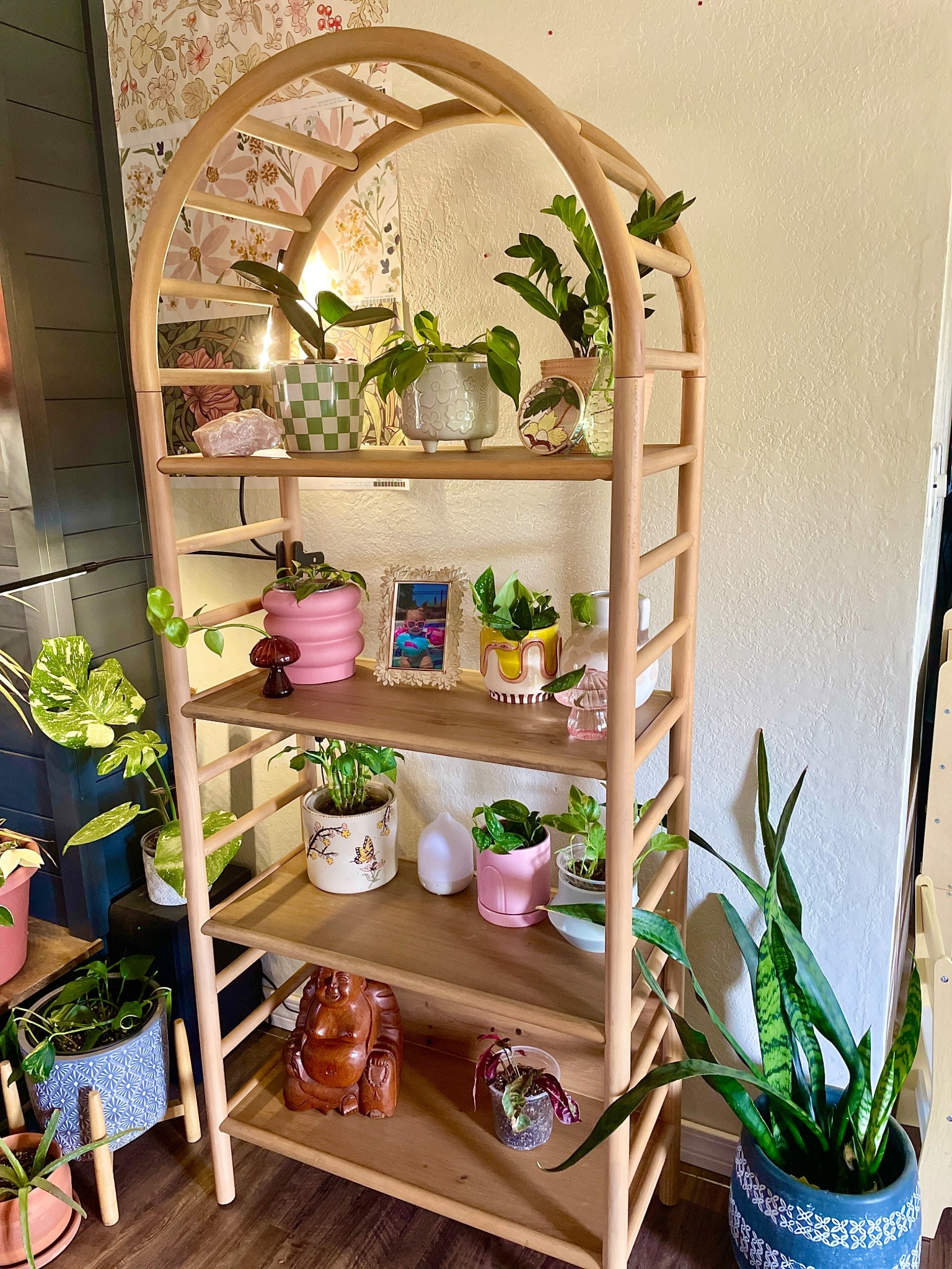 Boho Plant Shelf Decor🌸🌿✨ 
#homedecor #plants #bohohomes #shelf

#LTKHome