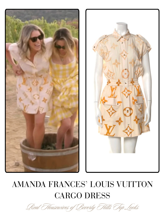 Amanda Frances' Louis Vuitton Cargo Dress 

 