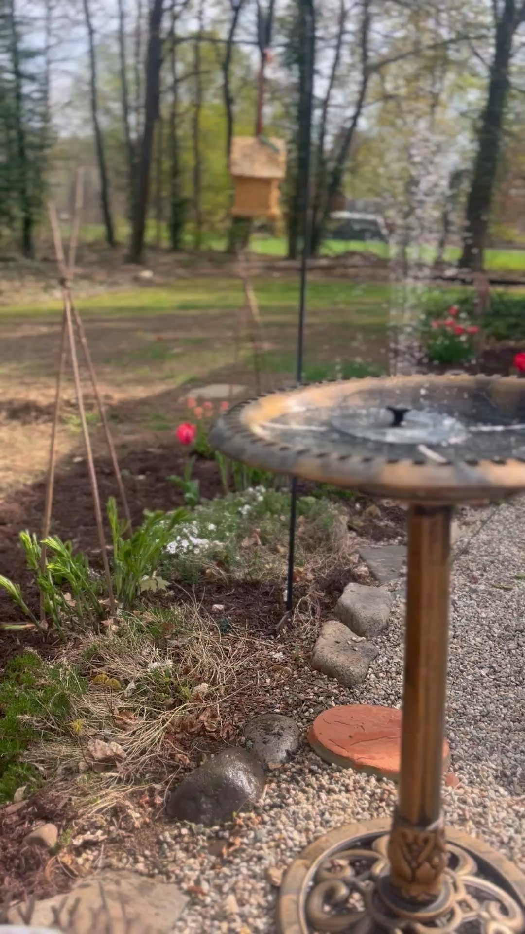 It’s that time of year again.. bird bath and fountains! 

#LTKHome #LTKSeasonal
