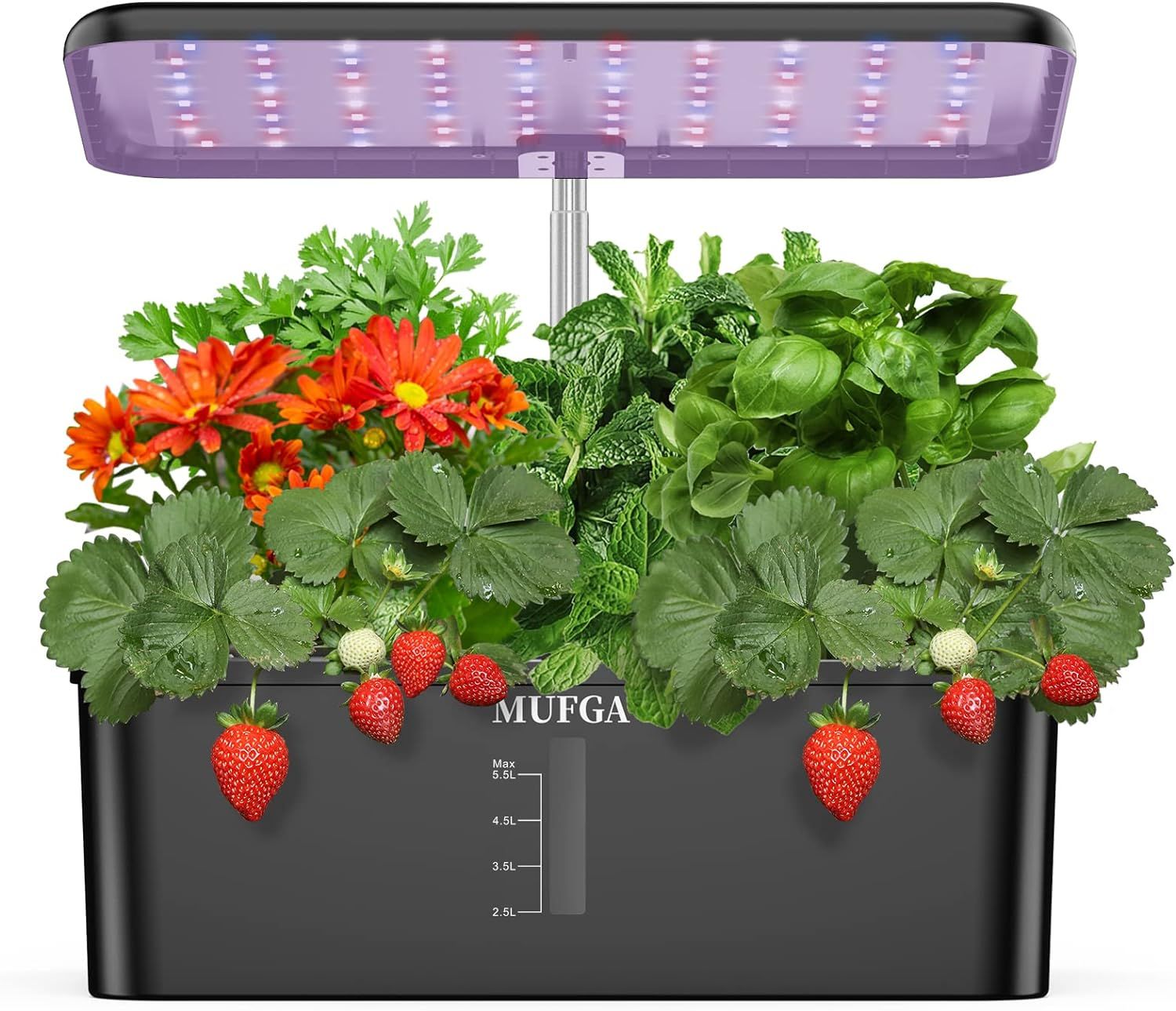 Herb Garden Hydroponics Growing System - MUFGA 12 Pods Indoor Gardening System with LED Grow Ligh... | Amazon (US)