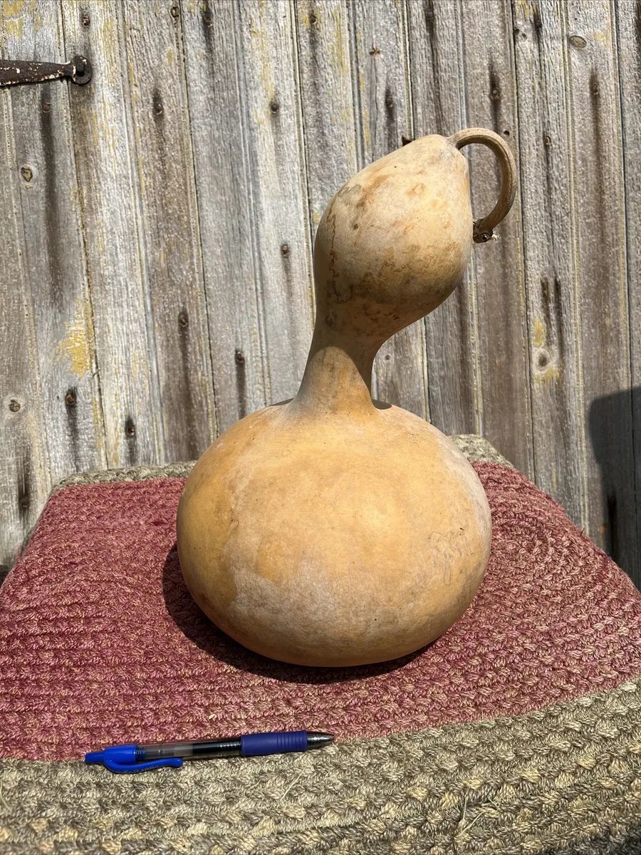 Goose Gourd, Dried And Cleaned. 13 Inches tall, 29 Inches Around Solid Sits Well  | eBay | eBay US