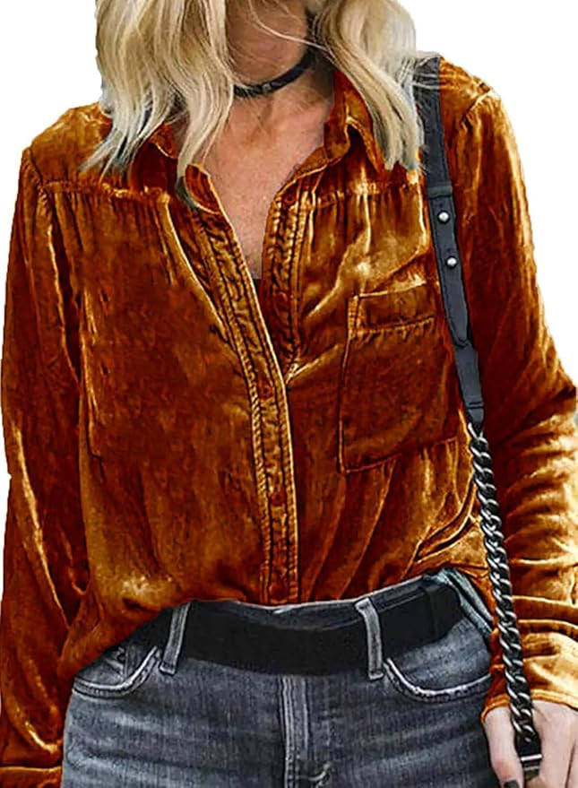 Zeagoo Womens Velvet Long Sleeve Shirts V Neck Collared Button Down Shirt Tops S-2XL | Amazon (US)