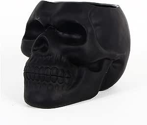 Dashamce Skull Planter Dish Large Flower Pot Container Box Halloween Skull Candy Bowl Desk Decora... | Amazon (US)