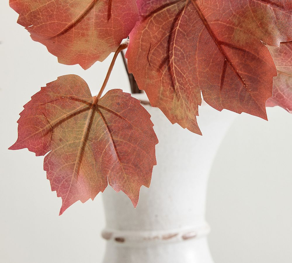 Faux Maple Leaf Vine Branch | Pottery Barn (US)