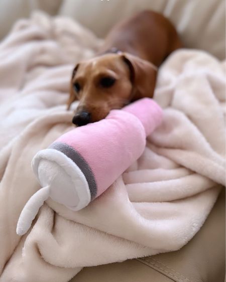 Cute dog toys from Amazon! Honey loves her Stanley tumbler 😂💕

#LTKfindsunder100 #LTKfamily #LTKfindsunder50