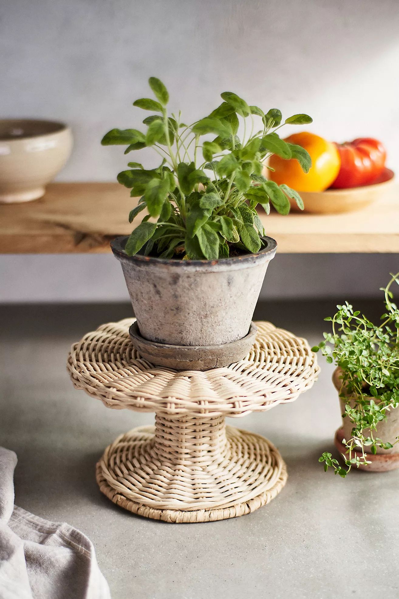 Rattan Riser | Anthropologie (US)