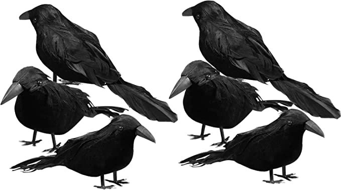 Sizonjoy 6 Pack Halloween Black Feathered Crows, Halloween Decorations Realistic Bird Halloween R... | Amazon (US)