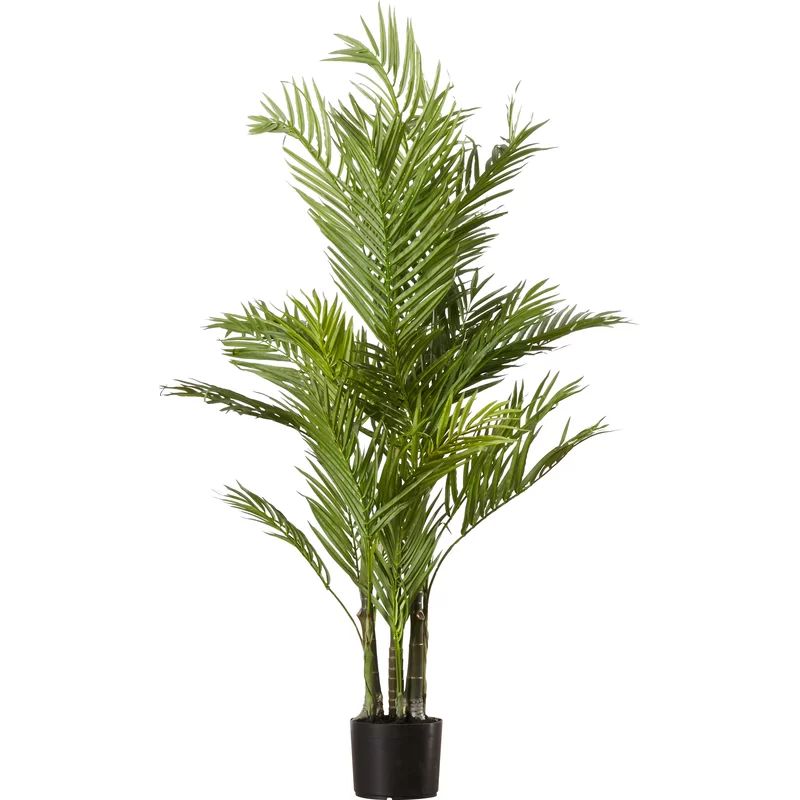 Areca Palm Tree in Pot | Wayfair North America