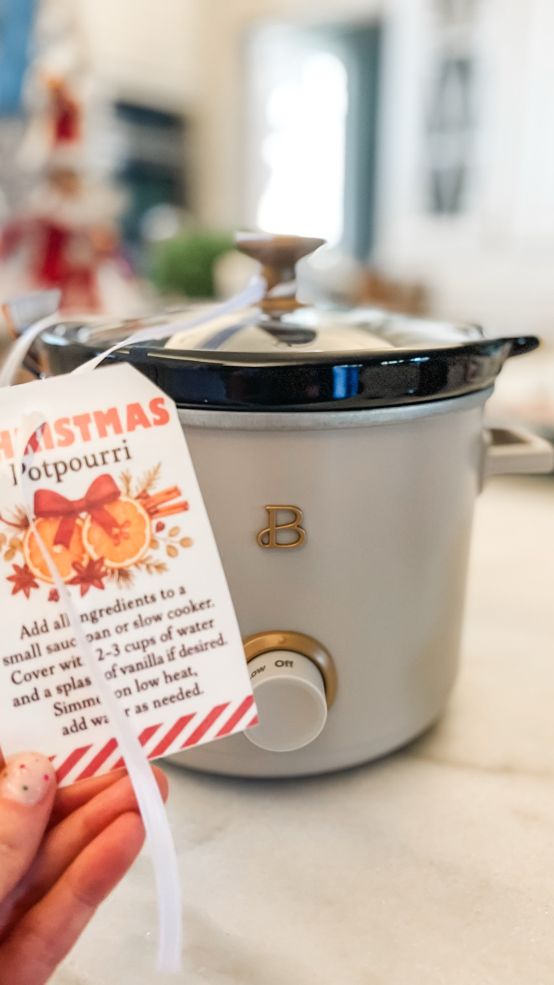 Cutest little gift idea! Crockpot simmer pot or potpourri pot! Perfect for a hostess or a. Neighbor 

#LTKGiftGuide #LTKHoliday #LTKHome