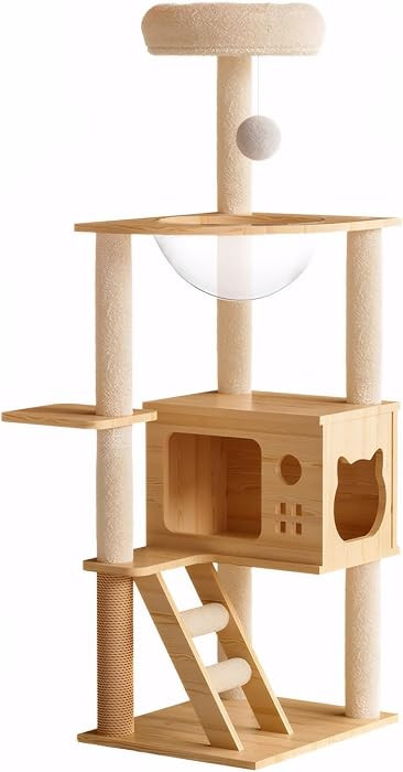 Solid Pine Wood Cat Tree for Indoor Cats, 48.8” Tall Modern Cat Tower with Clear Acrylic Hammoc... | Amazon (US)