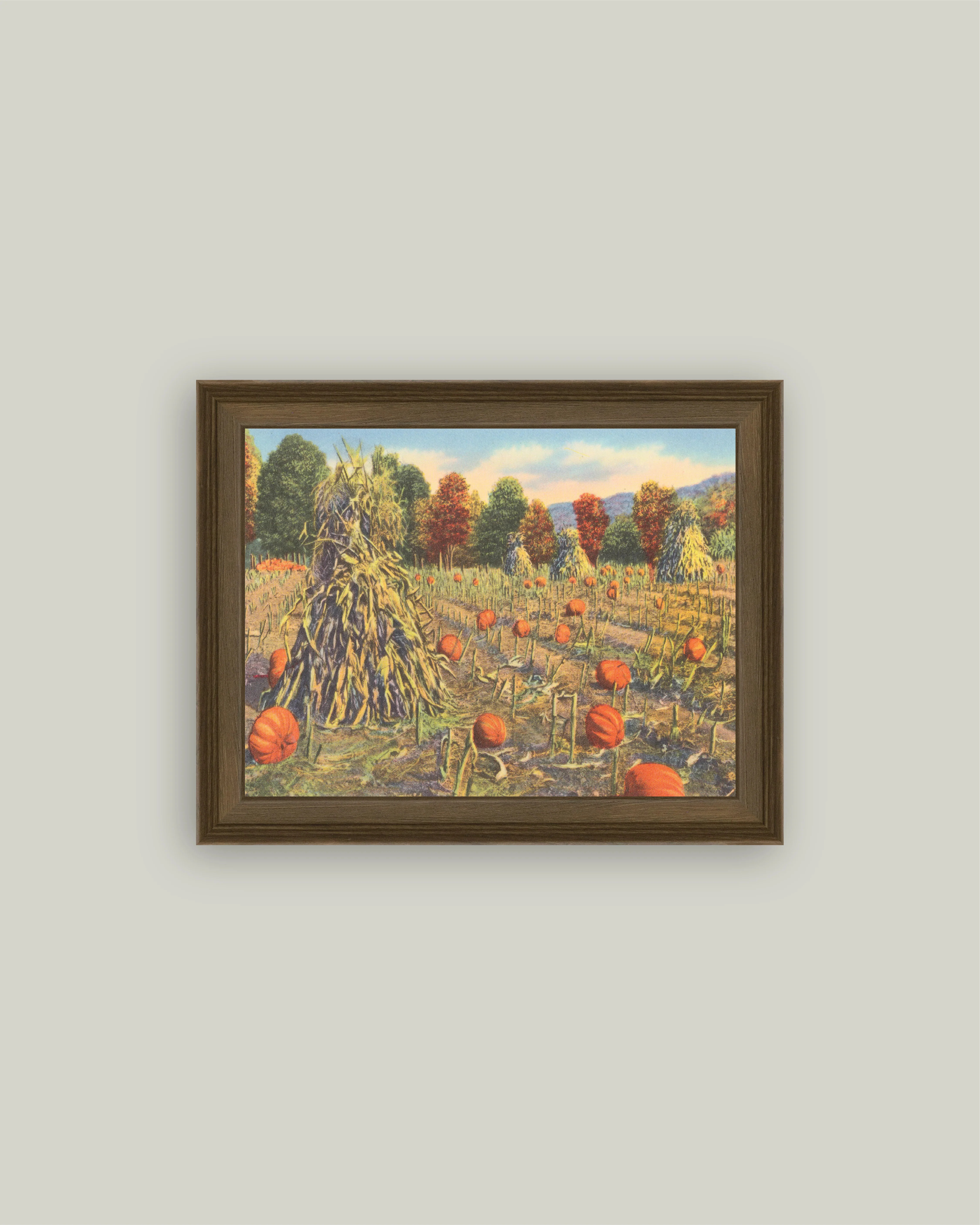 The Pumpkin Patch | Petal Lane