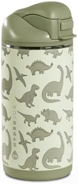 HydroJug Ease2o 14oz Kids Water Bottle with Straw & Chug Lid, Dinosaur | Amazon (US)