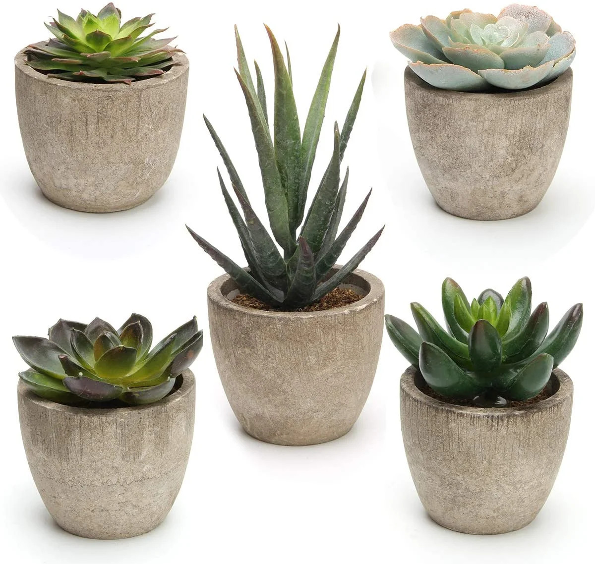 Plutput Artificial Succulent Plants Fake Succulents Faux Succulent potted With Realistic Texture ... | Walmart (US)