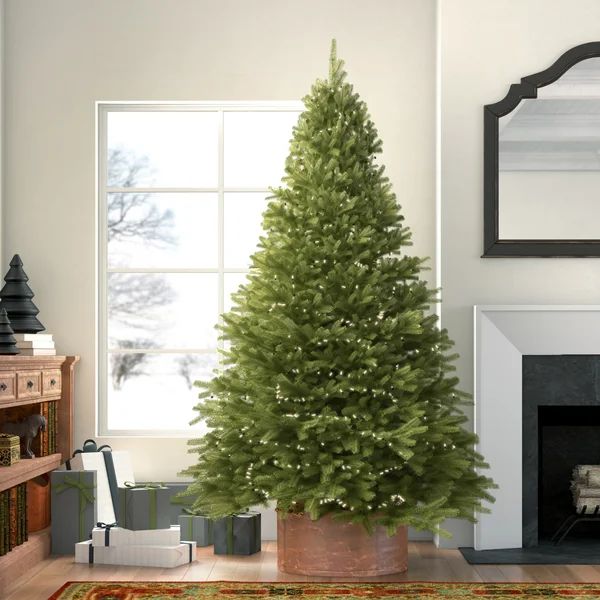Kaye Lighted Artificial Douglas Fir Christmas Tree | Wayfair North America