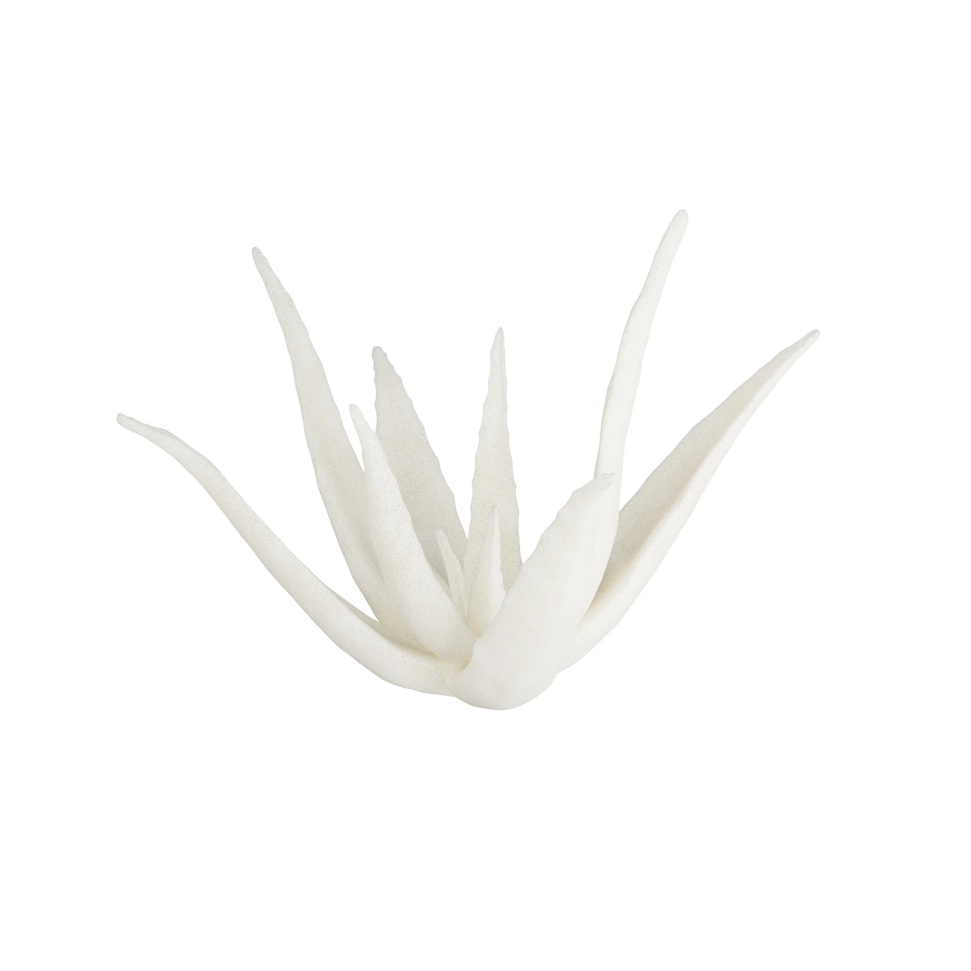 ARTERIORS Zaloe Sculpture | Perigold | Perigold